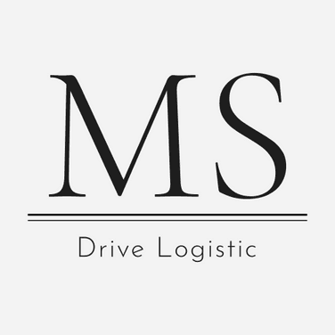 MS Drive Logistic Logo